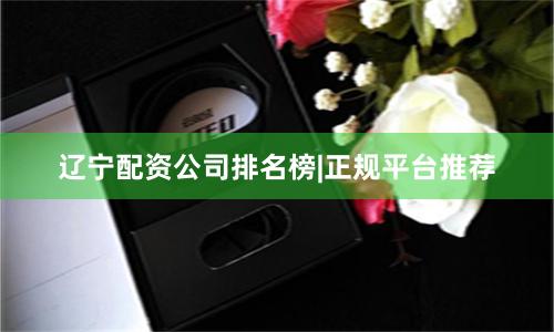 辽宁配资公司排名榜|正规平台推荐